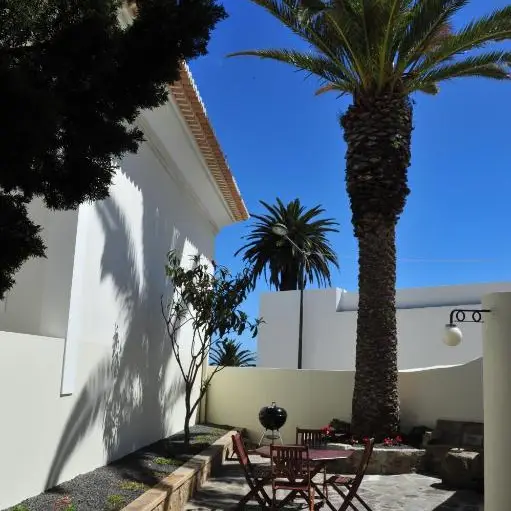 Garden with a palm tree, table, chairs and barbecue